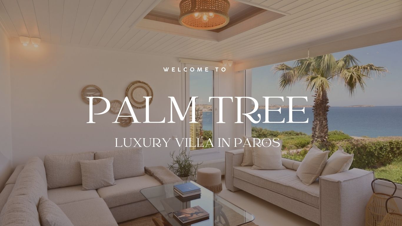 Palm Tree