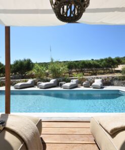 Paros - Palm Tree