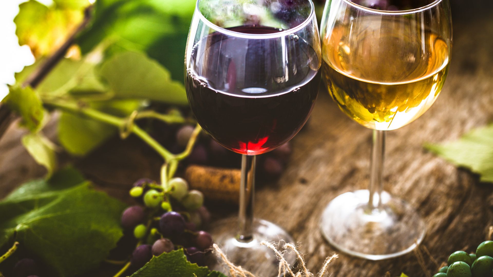 winery